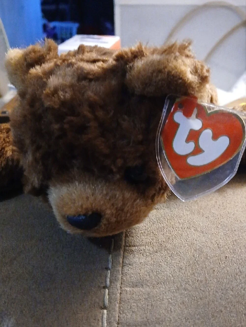Cocoa Ty Beanie